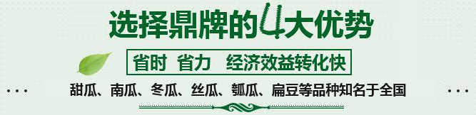 購買蔬菜種子，選擇鼎牌的四大優(yōu)勢(shì)